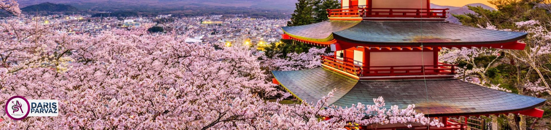 تور ژانویه ژاپن 2026