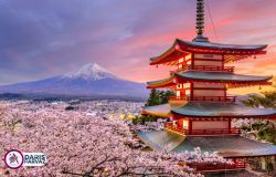 تور ژانویه ژاپن 2026